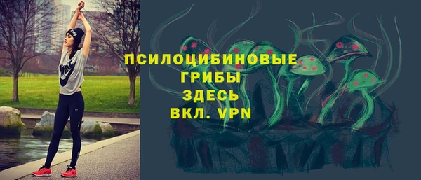 крисы Апатиты